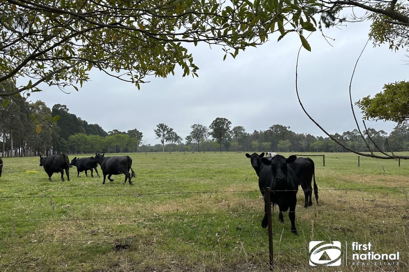 Click to view all images 102 Joiners Road Newmerella VIC 3886 - Image 2