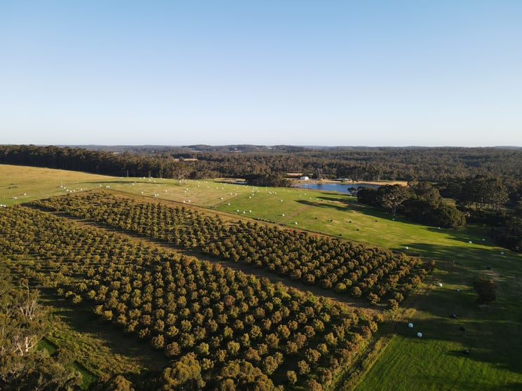 Click to view all images 289 Boorara Road Northcliffe WA 6262 - Image 3