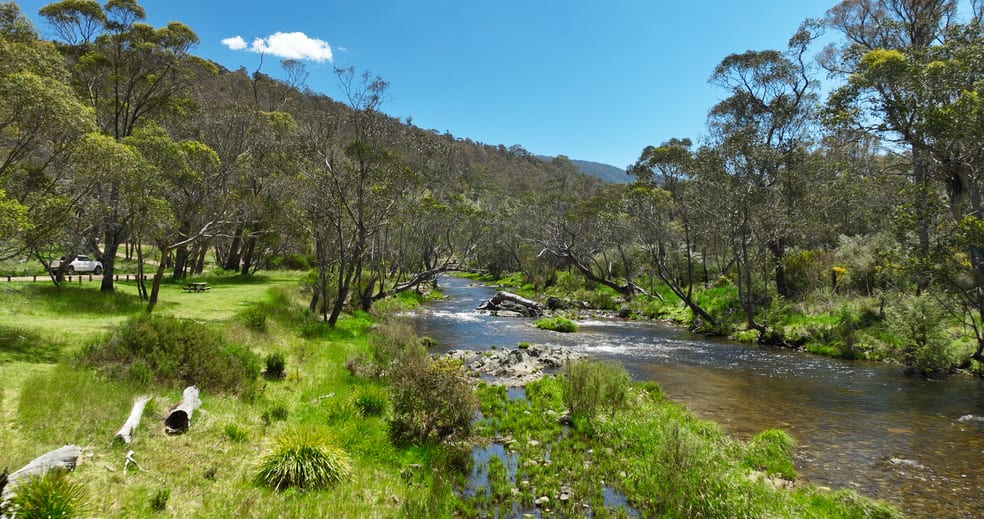 Click to view all images 3905 Omeo Highway Glen Valley VIC 3898 - Image 3