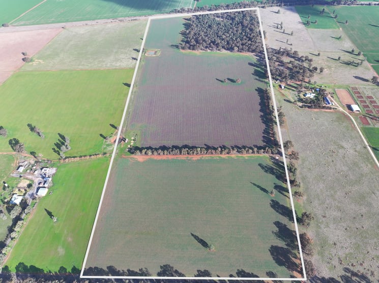 7555 Burley Griffin Way Temora NSW 2666 - Image 1
