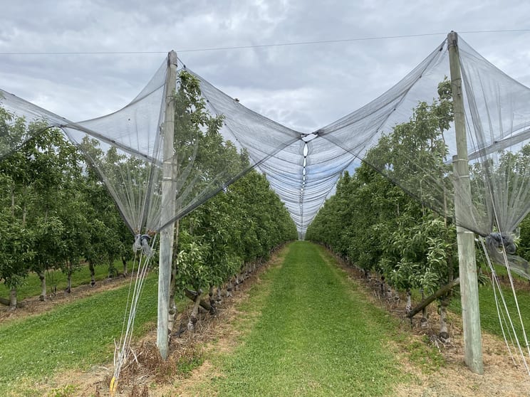 Click to view all images 503 Seven Day Road (Jardee) Manjimup WA 6258 - Image 3