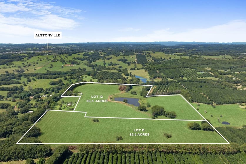 Click to view all images 177 Humpty Back Road Mcleans Ridges NSW 2480 - Image 3
