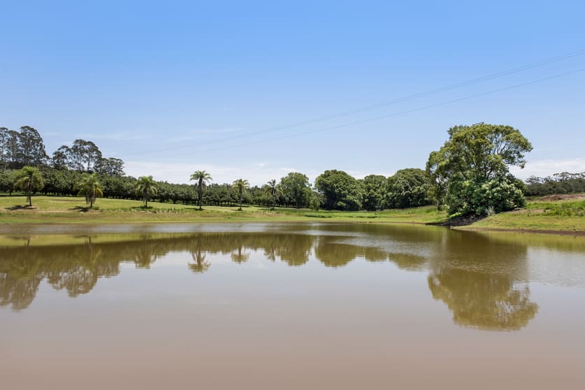 Click to view all images 177 Humpty Back Road Mcleans Ridges NSW 2480 - Image 2