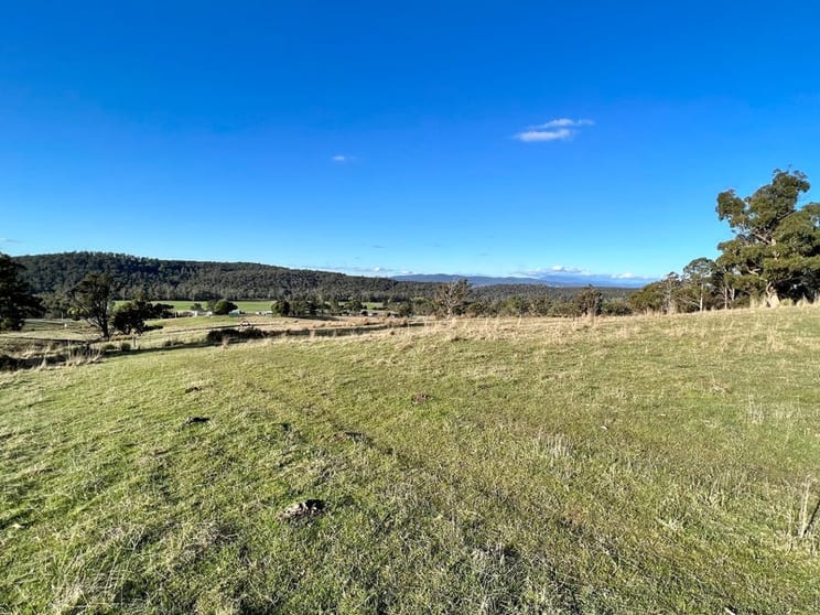 Click to view all images Lots 1,2 &5 West Tamar Highway Loira TAS 7275 - Image 2