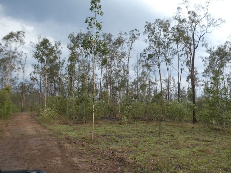 Click to view all images Lot 115 Gigoomgan Road Brooweena QLD 4620 - Image 3