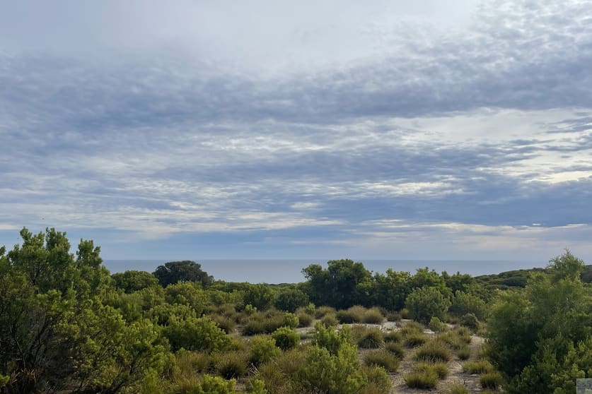 Click to view all images Lot 18 Mouth Flat Road Willson River SA 5222 - Image 1
