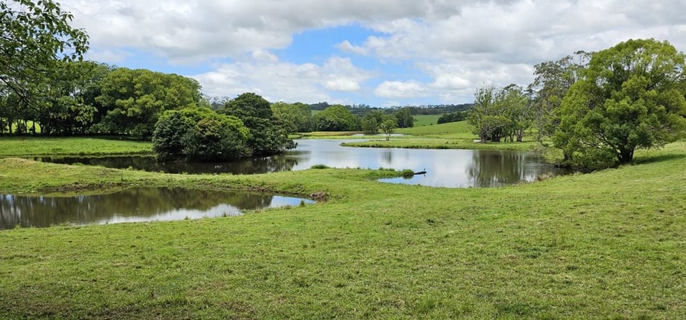 Click to view all images Mcleans Ridges NSW 2480 - Image 3