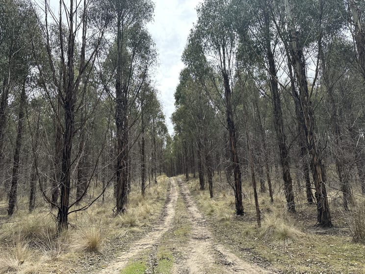 Click to view all images 37 Bedchambers Road Gretna TAS 7140 - Image 2