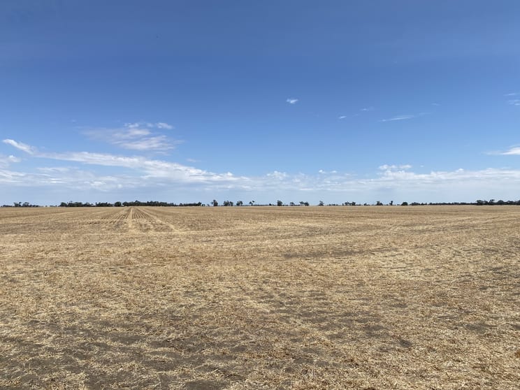 Click to view all images Donald-Murtoa Road Minyip VIC 3392 - Image 2