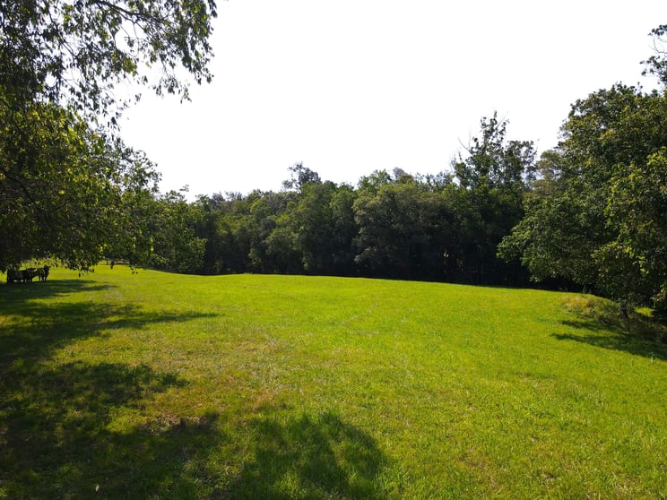 Click to view all images 37 Johnsons Creek Road Stroud Road NSW 2415 - Image 1