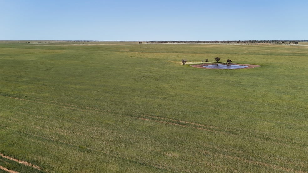 Click to view all images 2064 Binnu Road East Ogilvie WA 6535 - Image 3