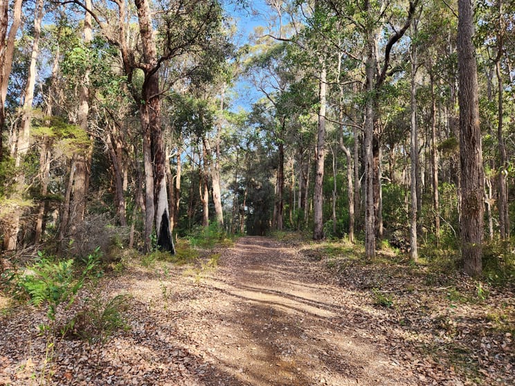 Click to view all images 221 Gardiner Road North Walpole WA 6398 - Image 2