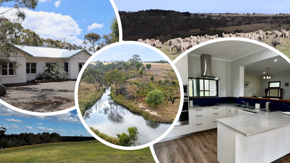Click to view all images 649 LONIES ROAD Shelford VIC 3329 - Image 1