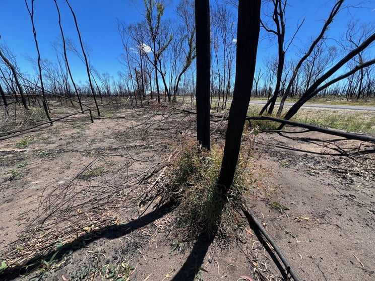 Click to view all images Lot 16 Tara-Chinchilla Road Tara QLD 4421 - Image 1