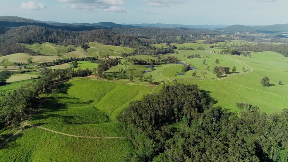 Click to view all images 423 Cowal Creek Road Bellangry NSW 2446 - Image 3