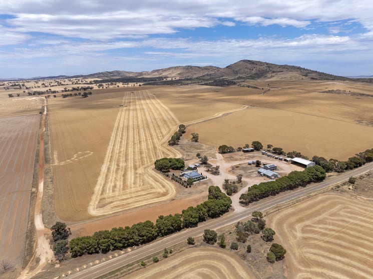 Click to view all images 'Sunny Rise' Booleroo Road Pekina SA 5431 - Image 1