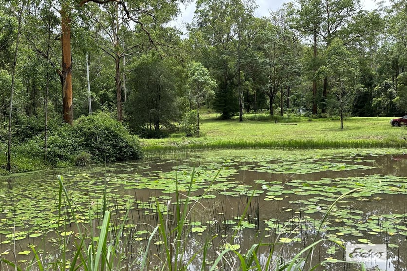 590 Stony Creek Road Stony Creek QLD 4514 - Image 2