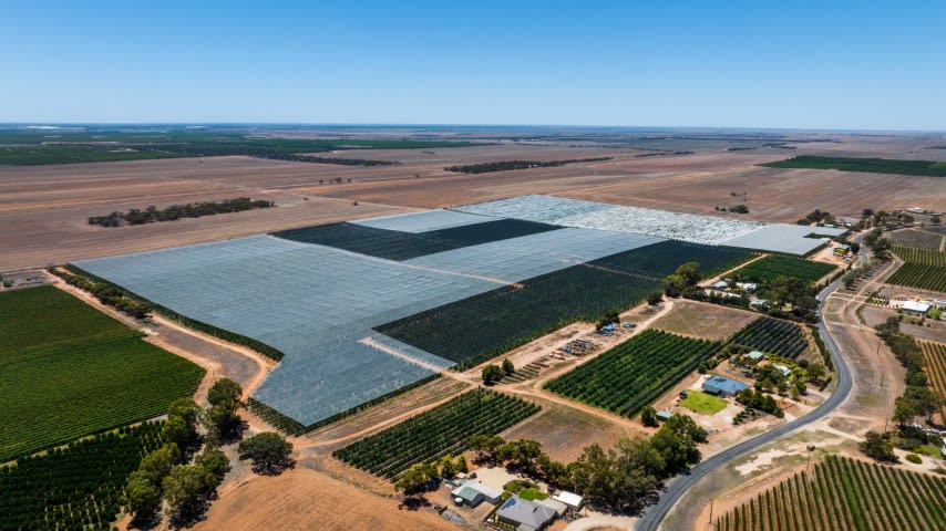 Loxton North SA 5333 - Image 3