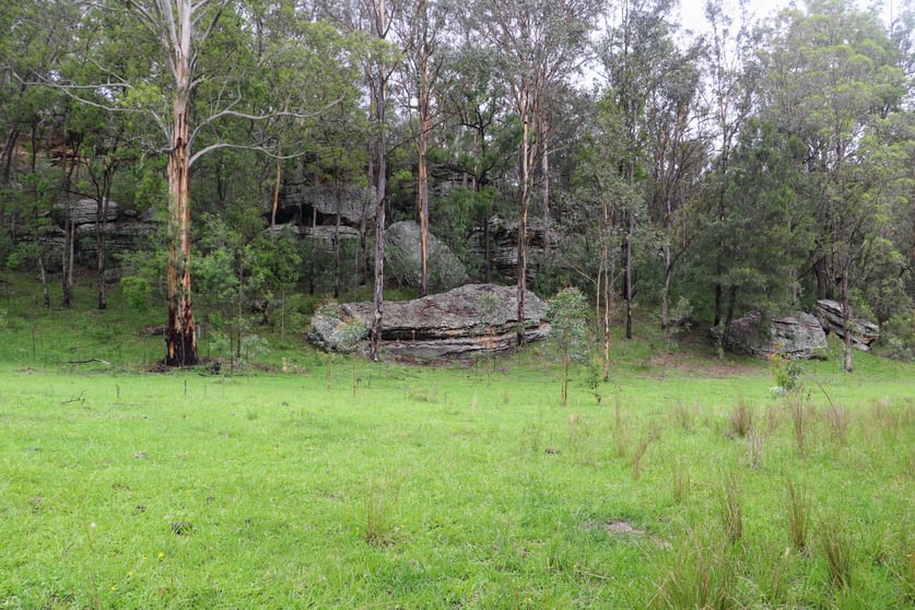 Lot 314/1341A Putty Valley Road Putty NSW 2330 - Image 3