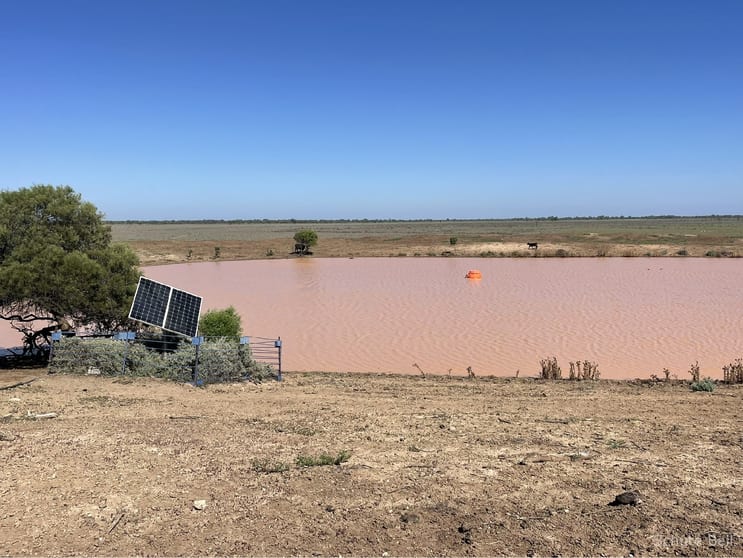 Click to view all images 1737 East Culgoa Road Brewarrina NSW 2839 - Image 2