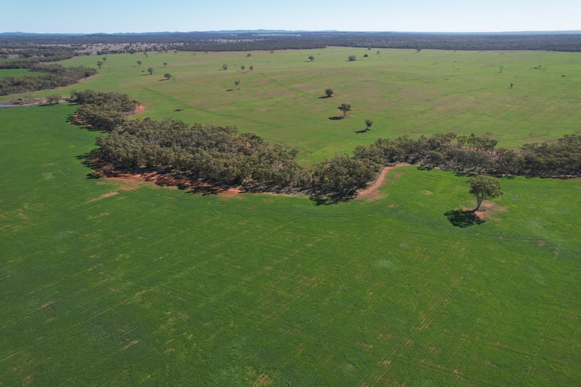 Click to view all images 787 Babinda Fire Trail Hermidale NSW 2831 - Image 2