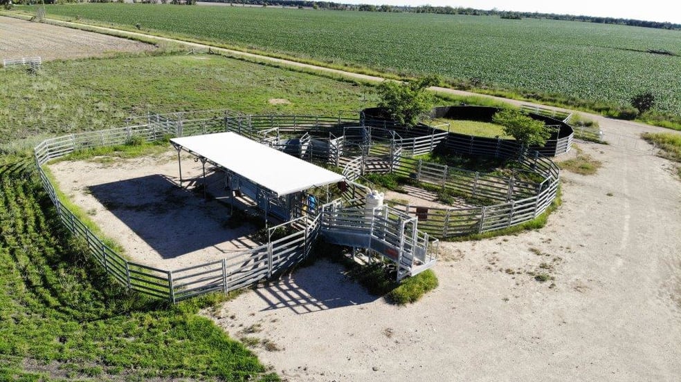 Click to view all images 412 ACRES PRIME RIVER GRAZING Dalby QLD 4405 - Image 2
