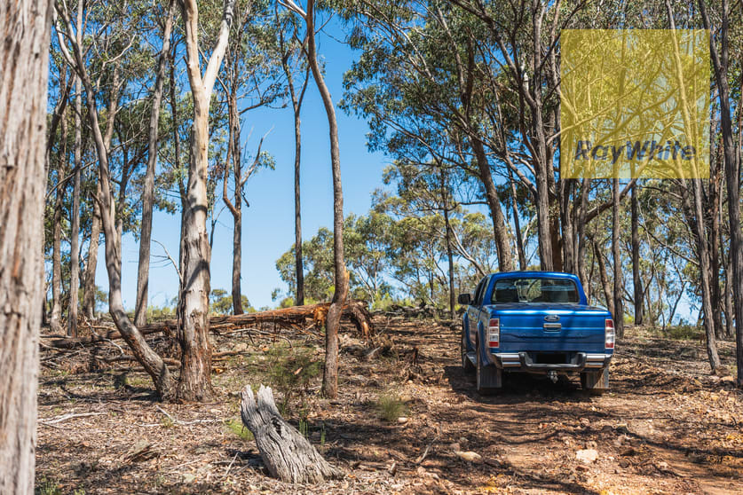 Click to view all images 1578 Blakney Creek North Road Bevendale NSW 2581 - Image 3