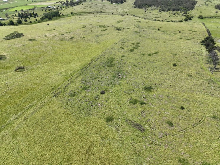 Click to view all images 409 Bellevue Road Tenterfield NSW 2372 - Image 1