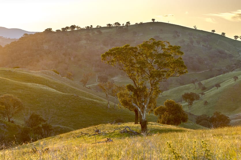 Click to view all images 'Dowan Hill' 198 Connells Lane Yass NSW 2582 - Image 2