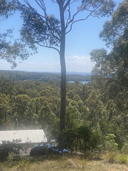 103 Black Marlin Drive Bermagui NSW 2546 - Image 2