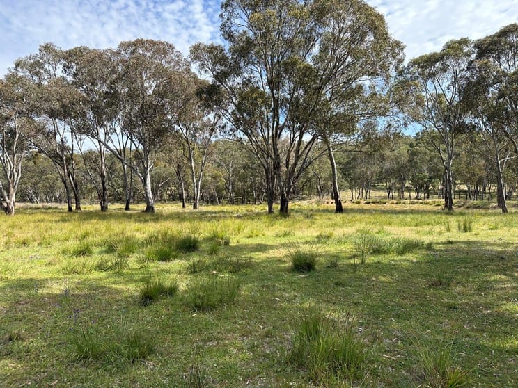 Click to view all images 1830 Mount Hope Road Coolah NSW 2843 - Image 2