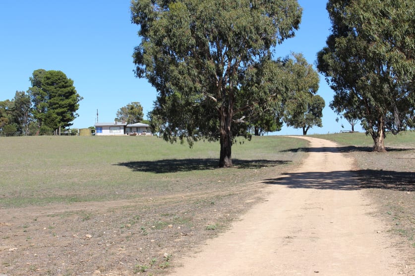 Click to view all images 1274 Garra South Road Parrakie SA 5301 - Image 2