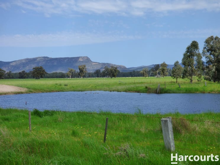 28 Jackmans Road Dadswells Bridge VIC 3385 - Image 3