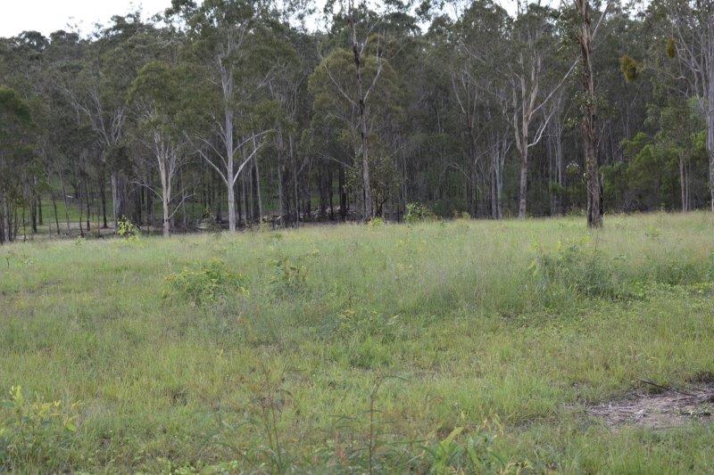 Click to view all images 155 Wilsons Road Tiaro QLD 4650 - Image 2