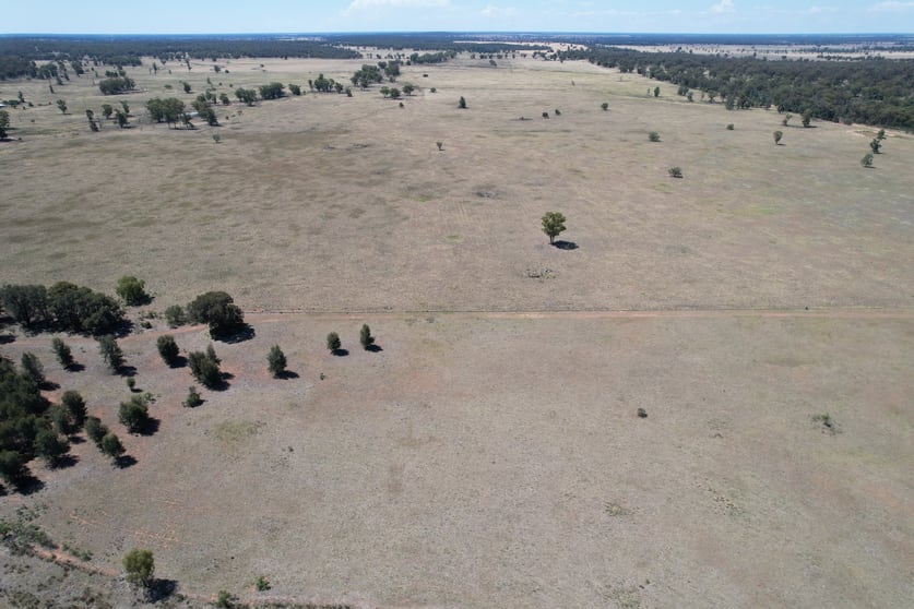 Click to view all images 1 Belah Park Lane, "Belah Park" Peak Hill NSW 2869 - Image 3