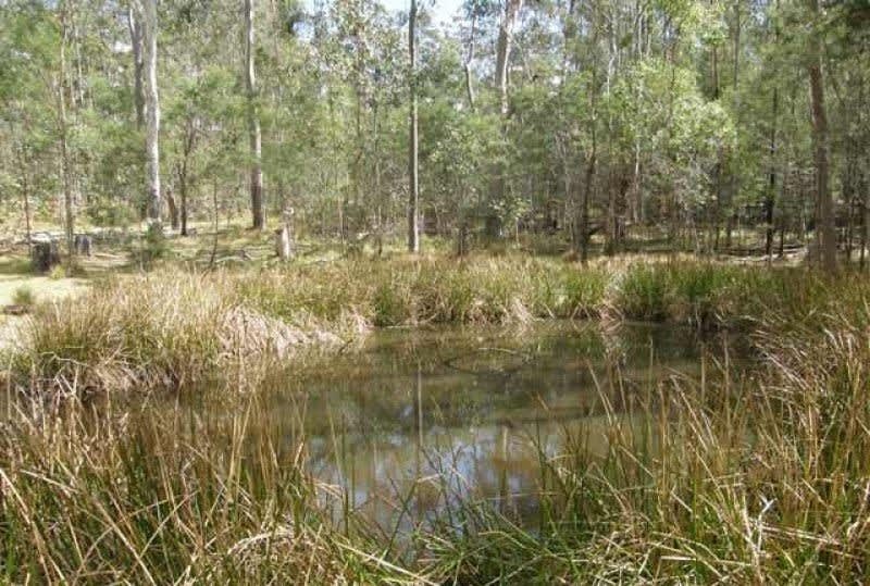 Click to view all images 3266 Blacksmith Shop Road Newton Boyd NSW 2370 - Image 1