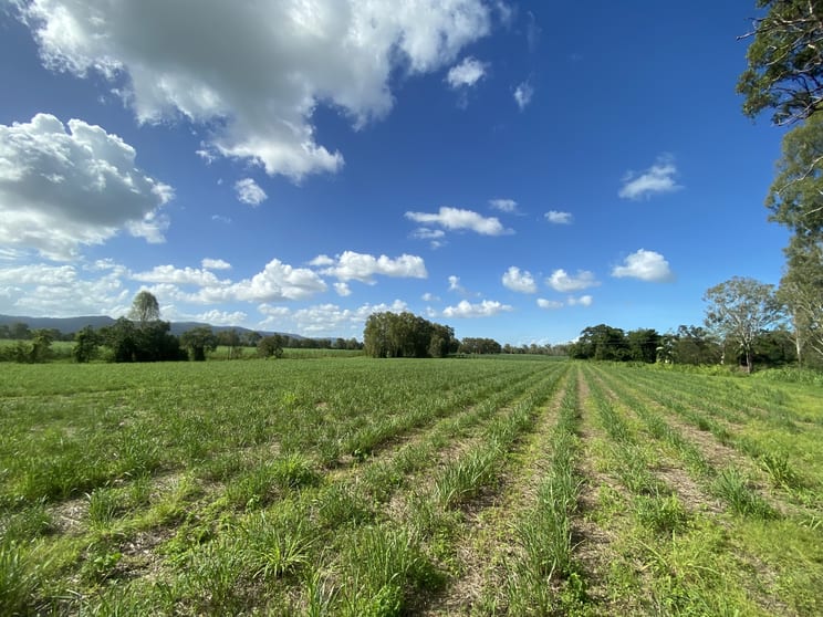 Click to view all images Koumala QLD 4738 - Image 1