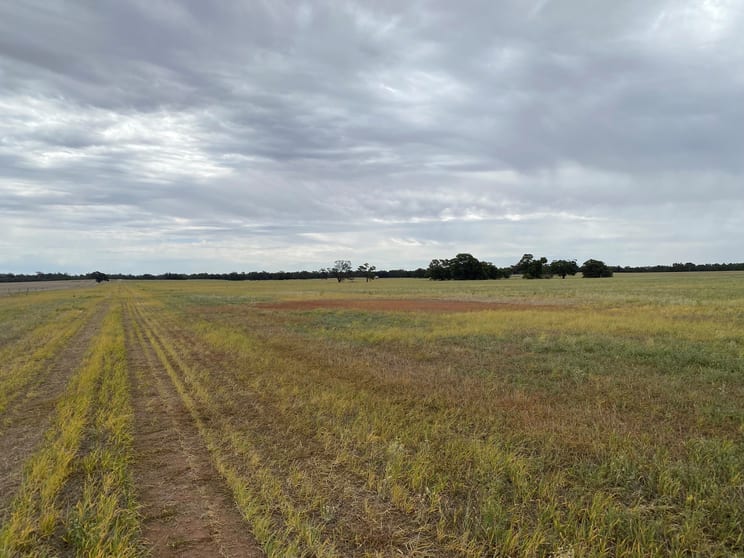 Click to view all images Donald-Stawell Road Rich Avon East VIC 3480 - Image 1