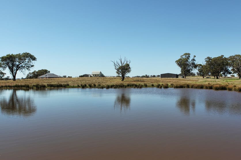 Click to view all images 751 Mia Mia-Derrinal Road Derrinal VIC 3523 - Image 1