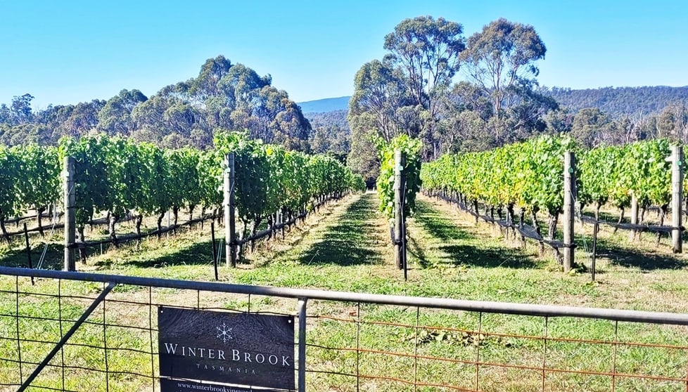 Click to view all images 150 Hjorts Road Loira TAS 7275 - Image 2