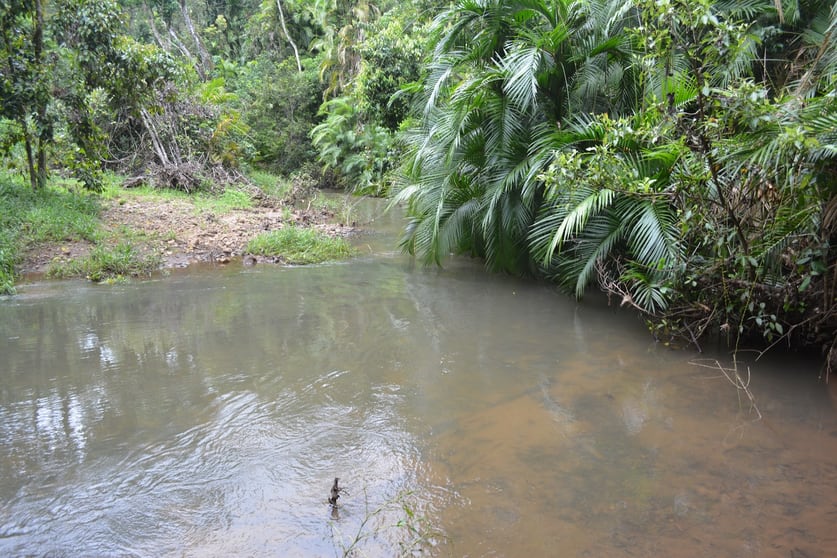 Click to view all images Lot 161/Lot 161 Fraser Road Millaa Millaa QLD 4886 - Image 1