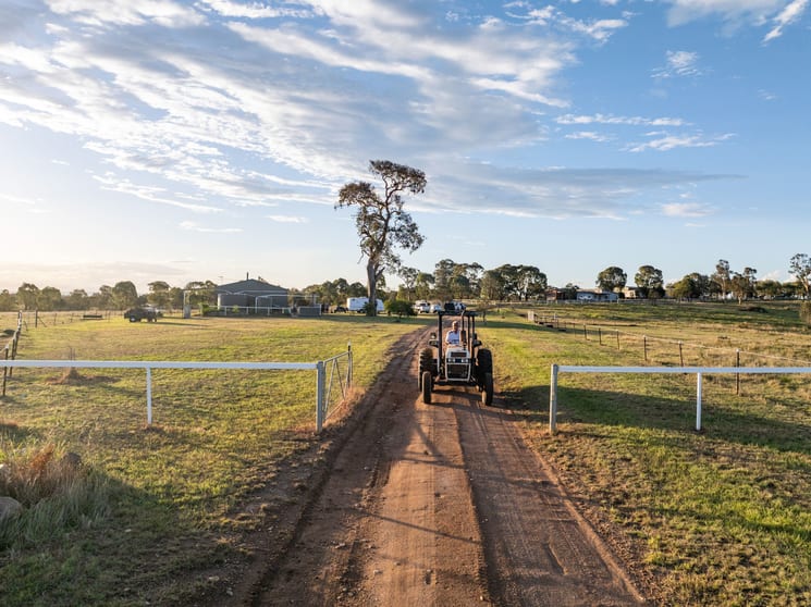Click to view all images "Harpley Park" 2671 Barton Highway Jeir NSW 2582 - Image 2