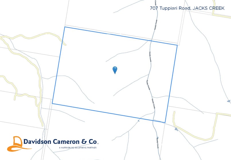 Click to view all images 707 Tuppiari Road Jacks Creek NSW 2390 - Image 2