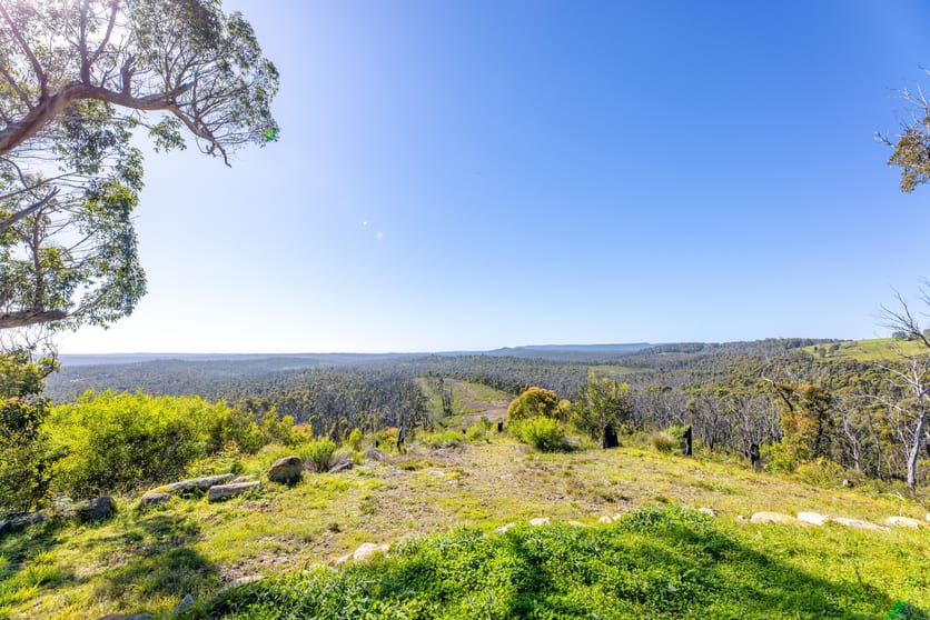 Click to view all images Lot 4 Braidwood Road Sassafras NSW 2622 - Image 3
