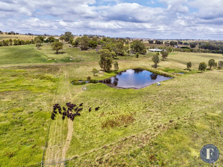 Click to view all images 87 Mcbeths Road Young NSW 2594 - Image 1