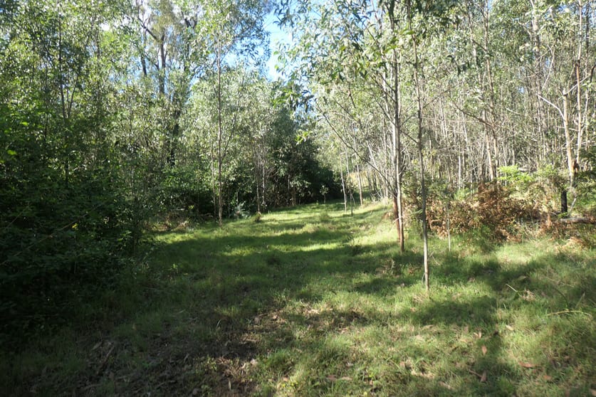 Click to view all images 52,53/400 Phillips Swamp Road Busbys Flat NSW 2469 - Image 2