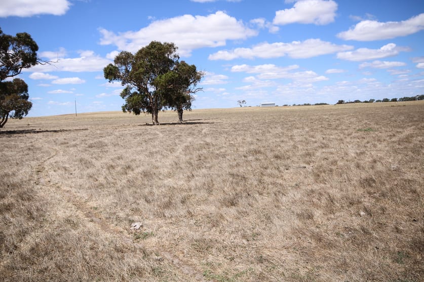Click to view all images 1234 Lucindale Road Naracoorte SA 5271 - Image 3