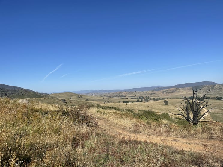 Click to view all images 1230 Maragle Road Maragle NSW 2653 - Image 3