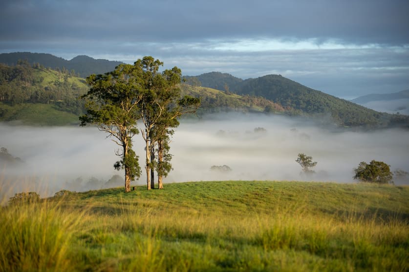 Click to view all images 1148 Thunderbolts Way Bowman NSW 2422 - Image 2