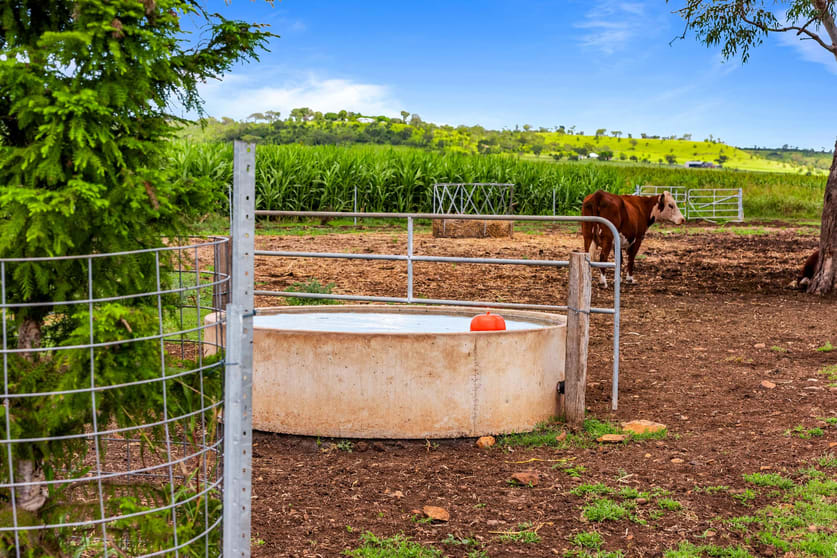 Click to view all images "South Glen" Cnr Cronin Road & Stoneleigh Road Linthorpe QLD 4356 - Image 3